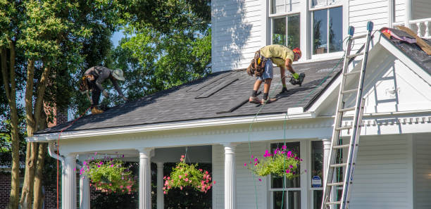 Best Roof Gutter Cleaning  in Ave Maria, FL